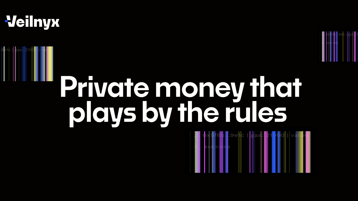 Evolving the Vision: Labyrinth is now Veilnyx.