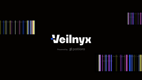 Veilnyx: Rethinking Privacy and Compliance